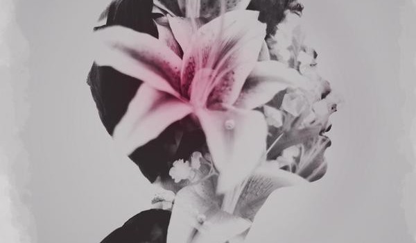 Album Image for Whisper Roaring - From the Basement to the Rooftop (Released 2015-10-16  by Self-released)