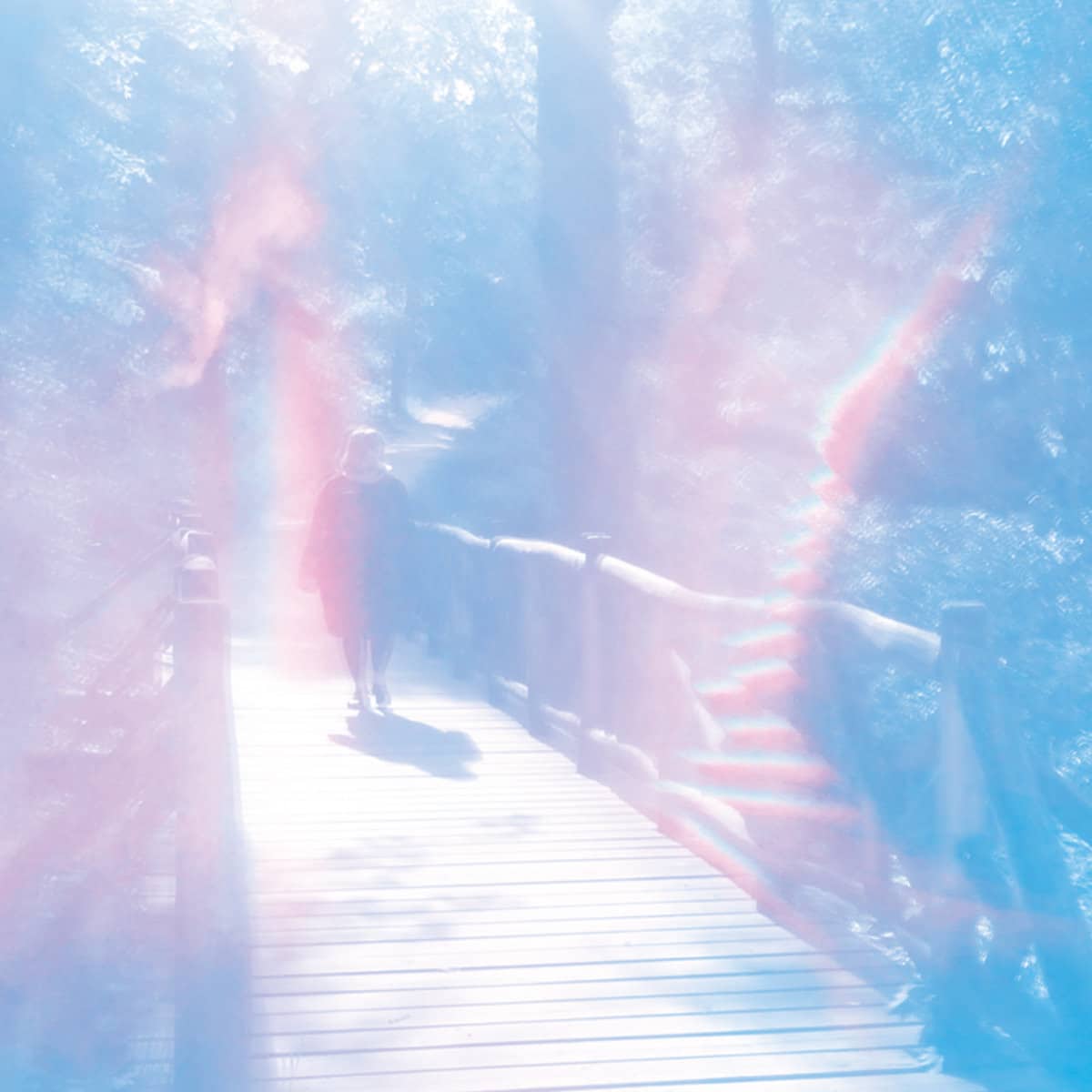 Album Image for White Poppy - Paradise Gardens (Released 2020-04-24  by Not Not Fun Records)