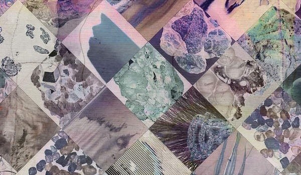 Album Image for White Poppy - Natural Phenomena (Released 2015-06-12  by Not Not Fun Records)