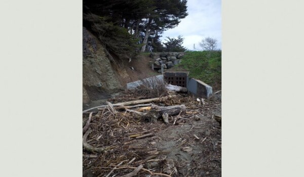 5 easy hot dogs album cover